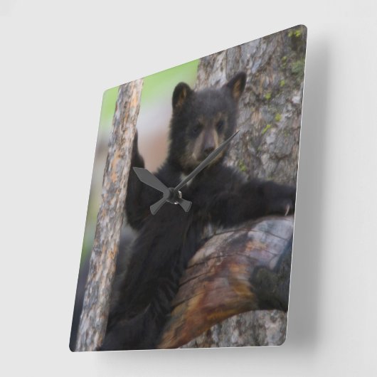 Black Beren Cub Lounging Vierkante Klok (Hoek)