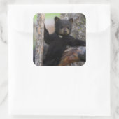 Black Beren Cub Lounging Vierkante Sticker (Tas)