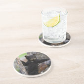 Black Beren Cub Lounging Zandsteen Onderzetter (Zijkant)