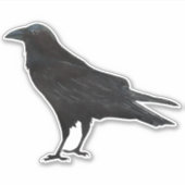 Black Bird Crow Sticker (Voorkant)