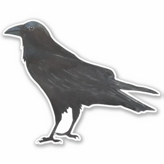 Black Bird Crow Sticker (Voorkant)
