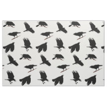 Black Bird of Crow misschien Raven