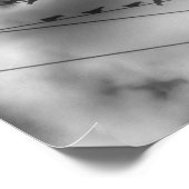 Black Bird Poster (Hoek)