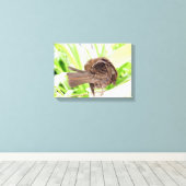 Black Bird Preening Canvas Afdruk (Insitu (Houten vloer))