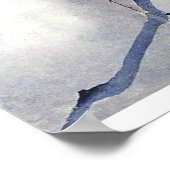 Black bird raven antique art poster (Hoek)