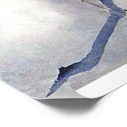 Black bird raven antique art poster (Hoek)