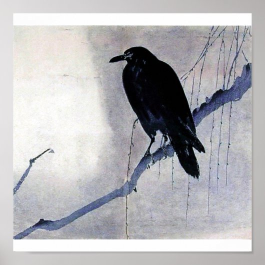 Black bird raven antique art poster (Voorkant)