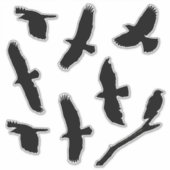 Black Bird Silhouettes Custom-Cut Vinyl Sticker (Voorkant)