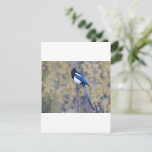Black Bled Magpie Briefkaart (Staand voorkant)