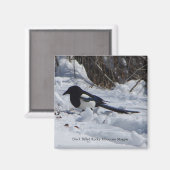Black Bled Rocky Mountain Magpie magnet (Voorkant / Achterkant)