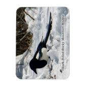 Black Bled Rocky Mountain Magpie magnet Magneet (Verticaal)