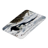 Black Bled Rocky Mountain Magpie magnet Magneet (Linkerzijde)