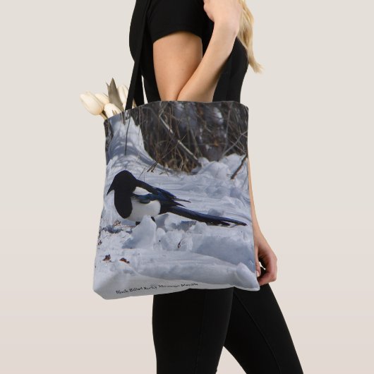 Black Bled Rocky Mountain Magpie over de tas (Dichtbij)