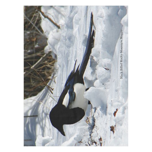 Black Bled Rocky Mountain Magpie-tafelkleed Tafelkleed (Voorkant)