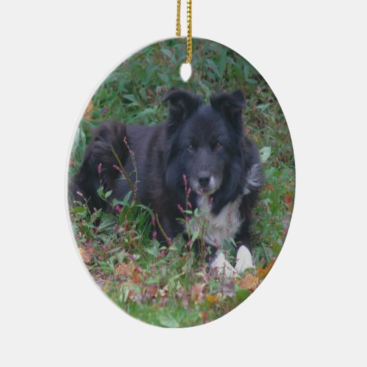 Black Border Collie Cute Dog Ornament (Rechts)
