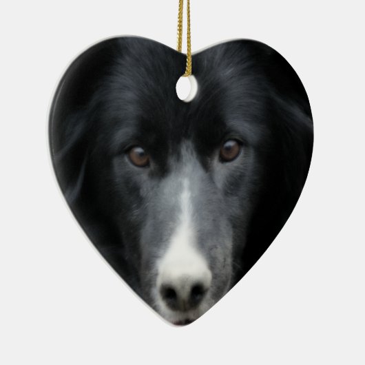 Black Border Collie Face Dog Ornament (Rechts)