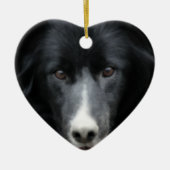 Black Border Collie Face Dog Ornament (Voorkant)