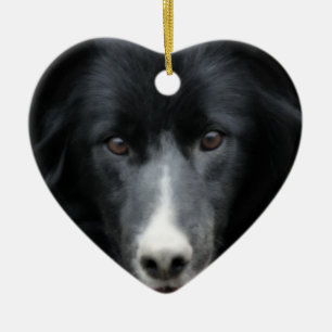 Black Border Collie Face Dog Ornament