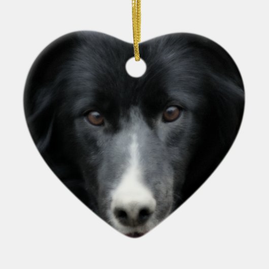 Black Border Collie Face Dog Ornament (Voorkant)