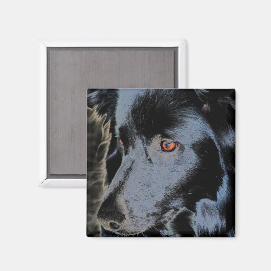 Black Border Collie Gezicht Hondenmagneet Magneet (Voorkant / Achterkant)