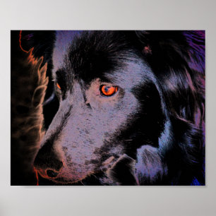 Black Border Collie Hond Gezicht Kunst Poster