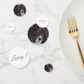 Black Border Collie Hond Verjaardag Confetti (Groep)