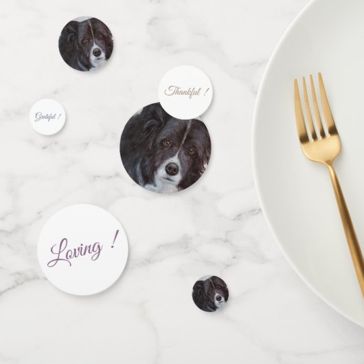 Black Border Collie Hond Verjaardag Confetti (Groep)