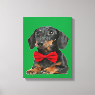 Black Border Collie Puppy Canvas Afdruk