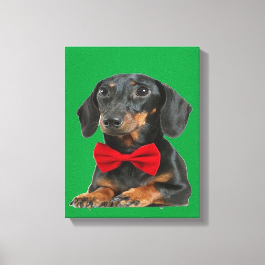 Black Border Collie Puppy Canvas Afdruk (Voorkant)