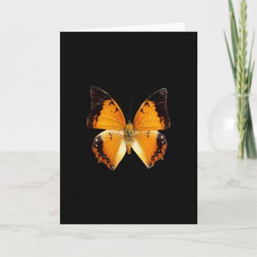 Black-Bordered Charaxes Butterfly Wenskaart Kaart (Voorkant)