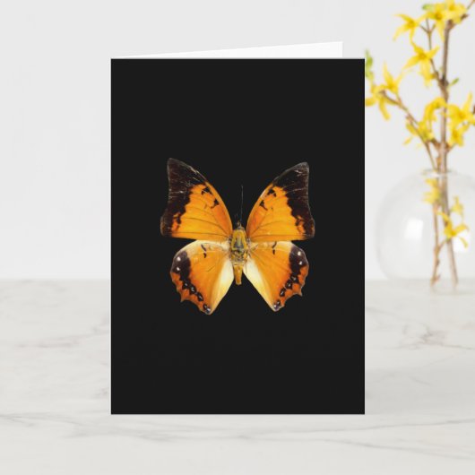 Black-Bordered Charaxes Butterfly Wenskaart Kaart (Gele Bloem)
