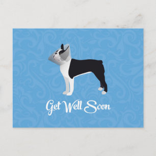 Black Boston Terrier krijgt snel weer vlot Funny D Briefkaart