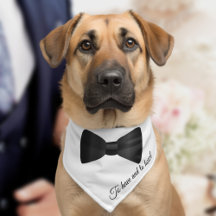 Black Bow Stropdas Hondennaam Pet Bandana Halsband