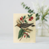 Black Breasted Woodpecker Briefkaart (Staand voorkant)