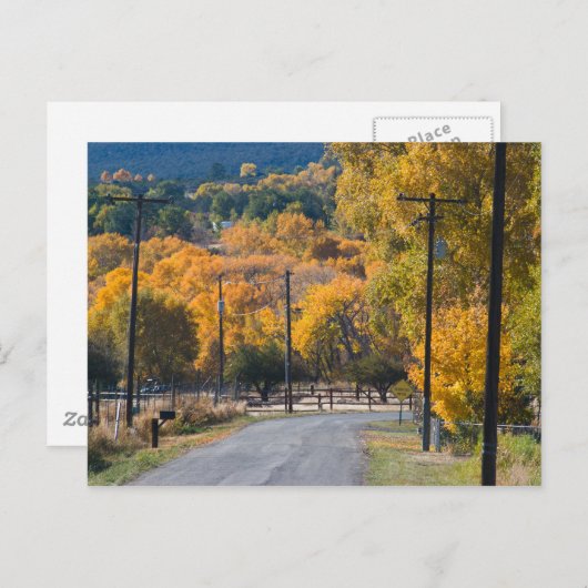 Black Bridge Road Briefkaart (Voorkant / Achterkant)