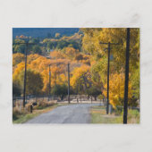 Black Bridge Road Briefkaart (Voorkant)