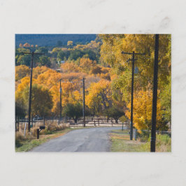 Black Bridge Road Briefkaart