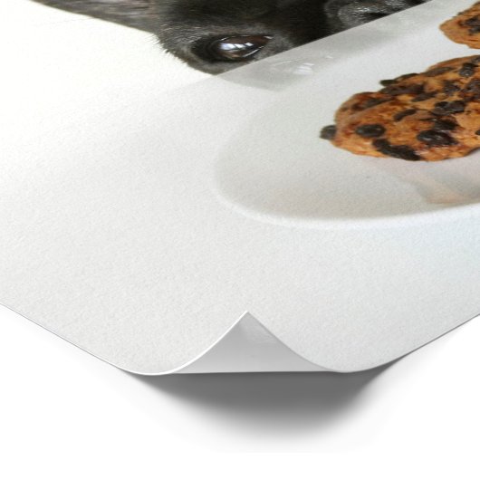 Black Brindle French Bulldog Poster (Hoek)