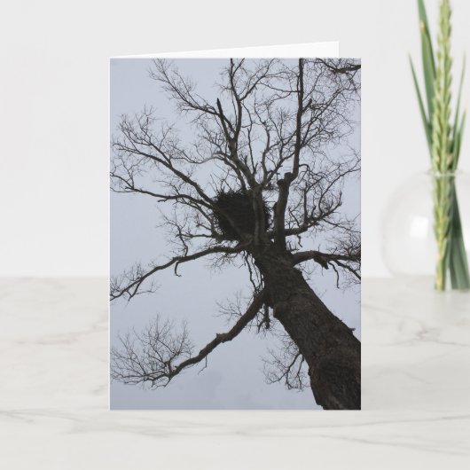 Black Brook Nest Kaart (Voorkant)