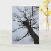 Black Brook Nest Kaart (Gele Bloem)