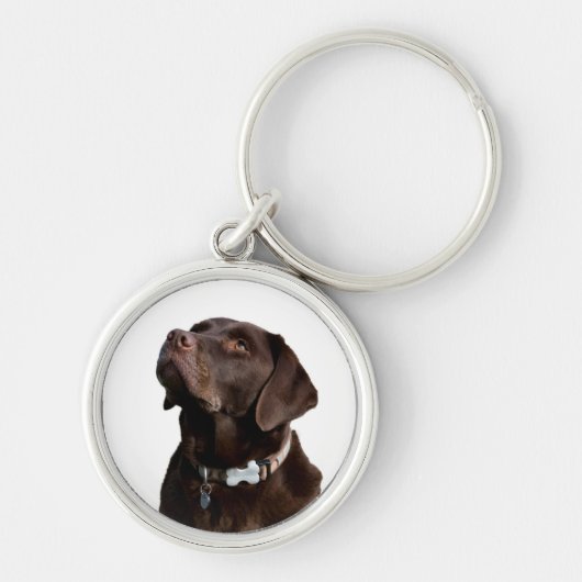 Black Brown Labrador Retriever Puppy Dog Sleutelha Sleutelhanger (Voorkant)