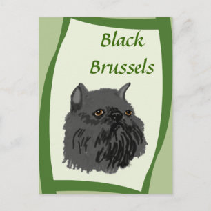 Black Brussels Griffon Briefkaart