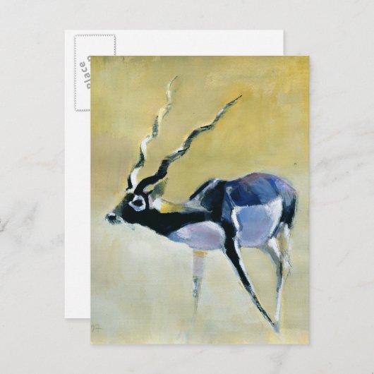 Black Buck Velavadar 1997 Briefkaart (Voorkant / Achterkant)