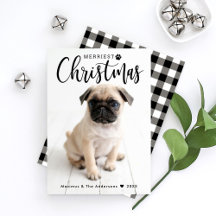 Black Buffalo Pset Merriest Puppy Dog Photo