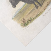 Black Bull Koe Ephemera Decoupage Boerderij Tissuepapier (Detail)