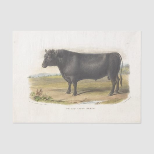 Black Bull Koe Ephemera Decoupage Boerderij Tissuepapier (Voorkant)