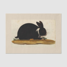 BLACK BUNNY RABBIT - Aangepast 10 lb-weefselpapier Tissuepapier
