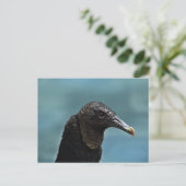 Black Buzzard Briefkaart (Staand voorkant)