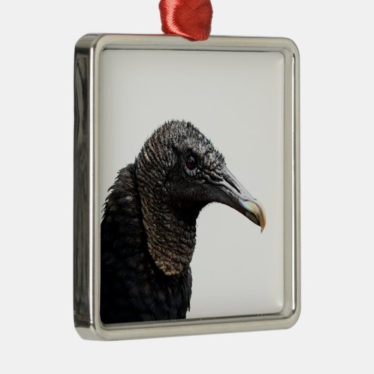 Black Buzzard Metalen Ornament (Rechts)