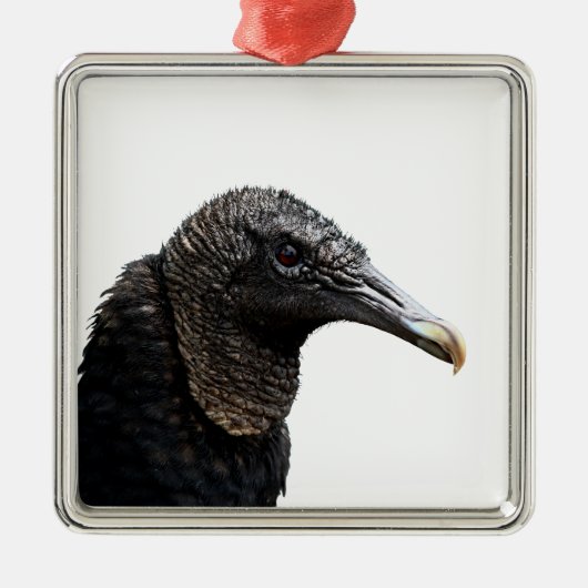 Black Buzzard Metalen Ornament (Voorkant)